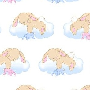 Bunny Rabbit Sleeping on Cloud Baby Girl Boy Nursery Small Size