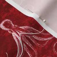 cuttlefish red