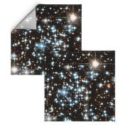 Stars // Sparkle Star Field Dark Galaxy 