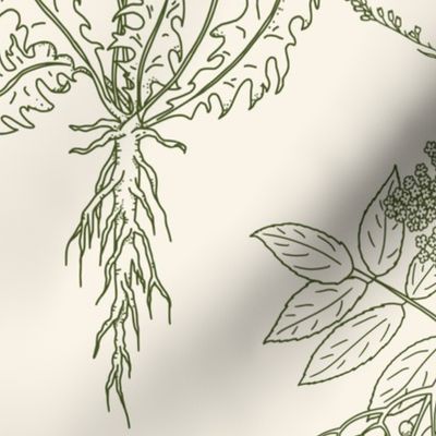 Large Scale - Dark Green Herbs on Cream