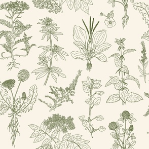 Large Scale - Dark Green Herbs on Cream