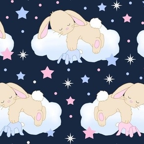 Bunny Sleeping on Cloud with Stars Pink Navy Blue Baby Nursery 