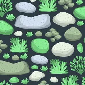 Elemental Serenity: Mossy Rocks Stones And Flora