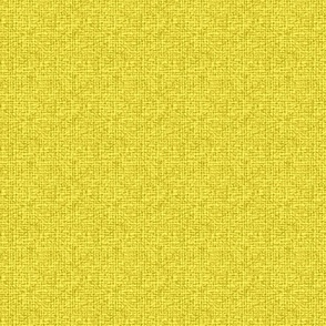 Lunaria background mustard