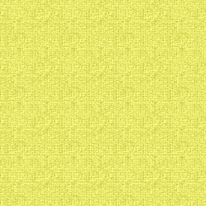 Lunaria background yellow