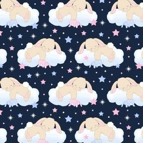 Bunny Sleeping on Cloud with Stars Pink Navy Blue Baby Nursery  Small Size 