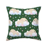 Bunny Sleeping on Cloud with Stars Pink Blue Hunter Green Baby Nursery  