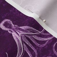 cuttlefish purple