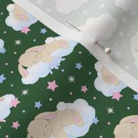 Bunny Sleeping on Cloud with Stars Pink Hunter Green Baby Nursery Small Size  