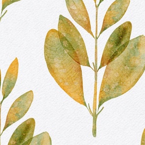 myrtus pimenta large - hand-painted warm green leaf - autumn watercolor botanical wallpaper