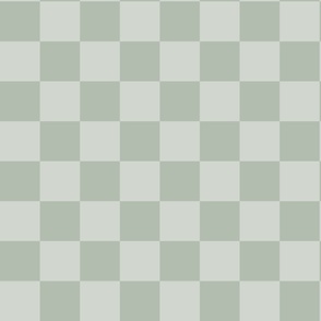 Checkered plaid _ light GRAY and GREEN DINO_ xxsmall