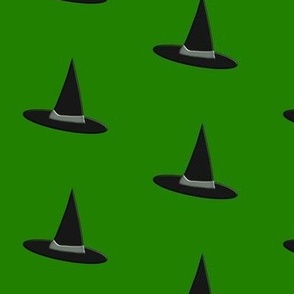 over-the-rainbow-wicked-witch-black-pointy-hat-green