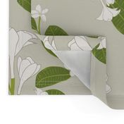 Tropical Island Plumeria Large Scale in Sage