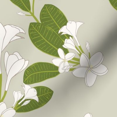 Tropical Island Plumeria Large Scale in Sage