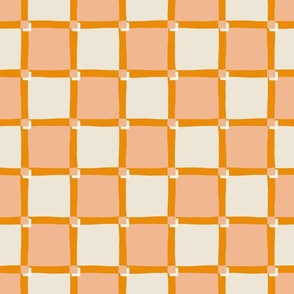 Cheerful Checks / Coral + beige / Large scale