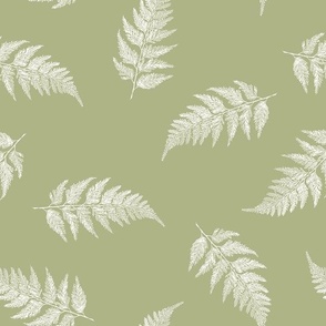 Elegant Fern Medium Scale in Moss Green