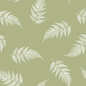Elegant Ferns Small Scale in Moss Green