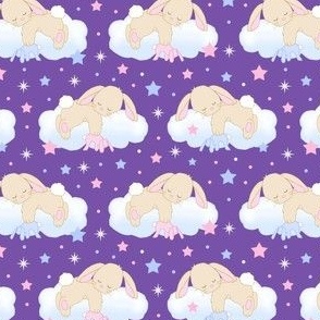 Bunny Sleeping on Cloud with Stars Pink Royal Purple Baby Girl Nursery Small Size  