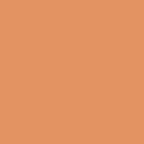 Dark Pastel Orange Solid Color - Apricot Crush 024-65-27 2024 Color of the Year