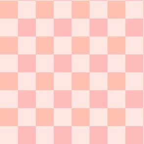 Checkered plaid _Peach Pink  and Cream 2024_ XX SMALL scale