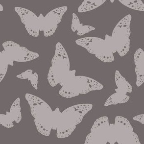 gray butterflies