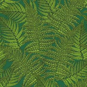 Fern in greens