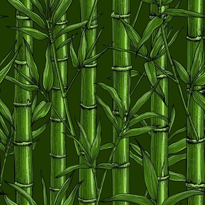 Bamboo forest, monochrome green