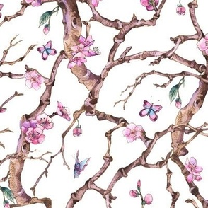 Watercolor cherry blossom, spring flowers on white