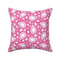 Medium Scale Playful Paisley Bandana White on Hot Pink