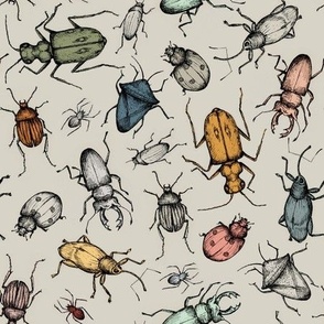 Beautiful Beetles - hand drawn - small scale