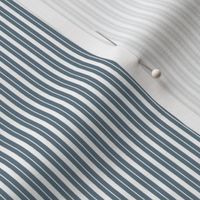 Tiny Ticking Stripe Phillipsburg Blue