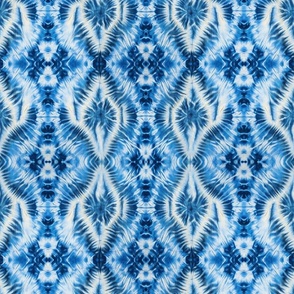 Shibori Abstract in Blue and White