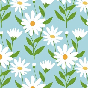 White Daisy Flowers on light blue - medium
