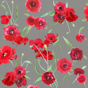 poppies on canvas