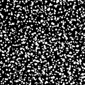 Tiny White Random Dots and Speckles on Black