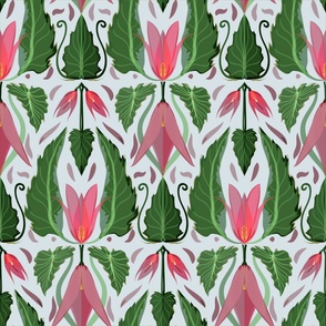 Begonia Mistral pattern 2b