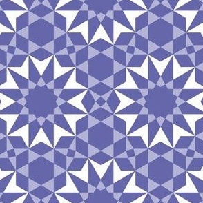 15444936 : SC64V2and4 : spoonflower0633