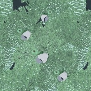 Medium Black Cockatoos in Amazon Green & Fresh Water Blue