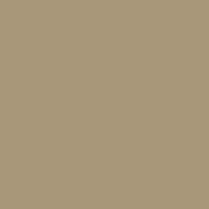 Khaki brown tan #A99779 plain solid color