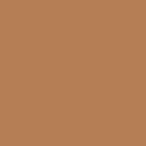 Copper brown bronze #B57E54 plain solid color