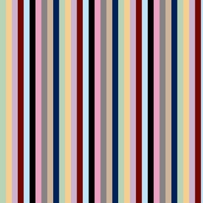 Vertical Stripes   Eras Colors The         1989 Red Lover Folklore Evermore Midnights Fearless Speak Now Reputation
