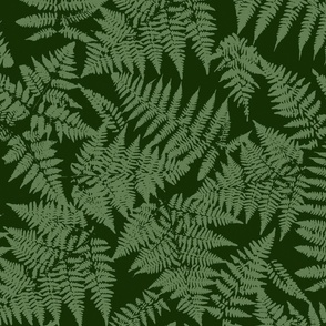 Forest Ferns - Green medium scale