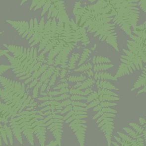 Forest Ferns - soft gray green