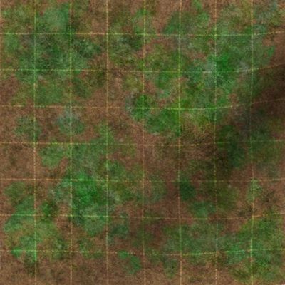 dnd battle grid with dirt and grass