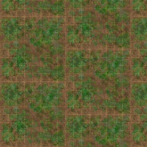 dnd battle grid with dirt and grass