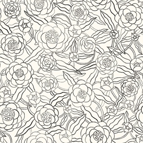 Peonies floral pattern in black and white line drawing