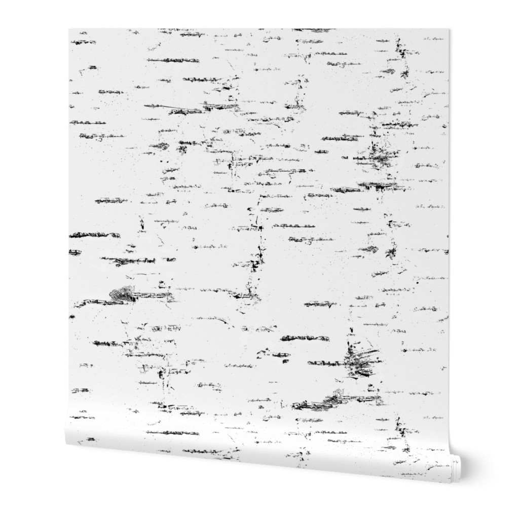 Birch Bark in black and white minimalistic style 