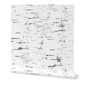 Birch Bark in black and white minimalistic style 