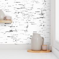 Birch Bark in black and white minimalistic style 