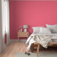 Watermelon Pink Solid Colour